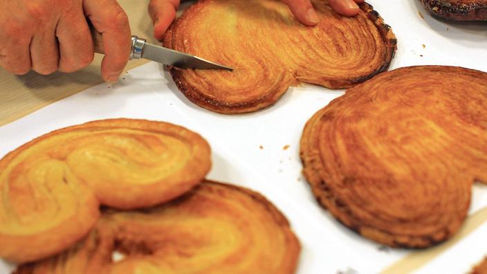Les Meilleurs Palmiers De Paris