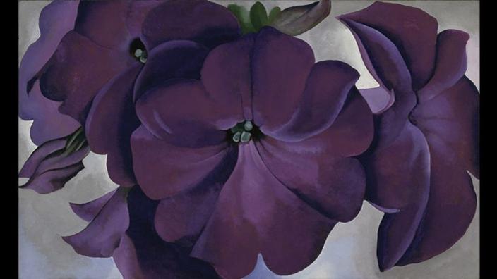 Dans L Intimite Des Fleurs Avec Georgia O Keeffe
