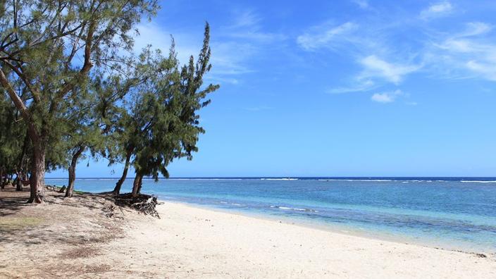 download ile de reunion download ile de reunion
