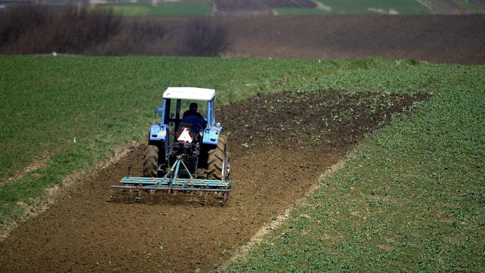 Pologne : les fermiers étrangers poussés vers la sortie