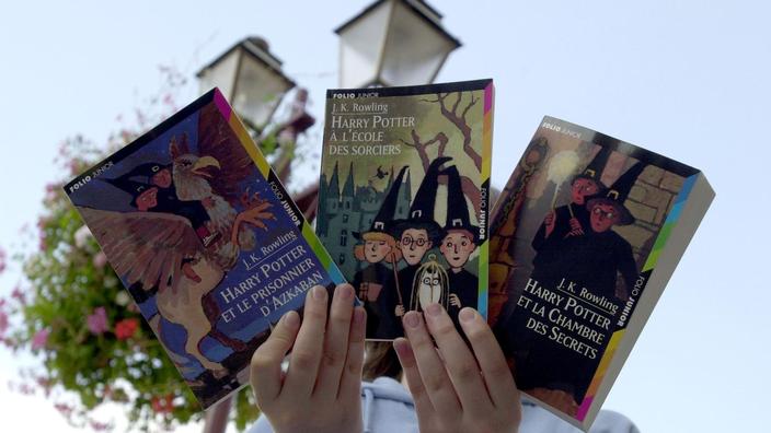 Un Vrai Festival Du Roupillon Harry Potter