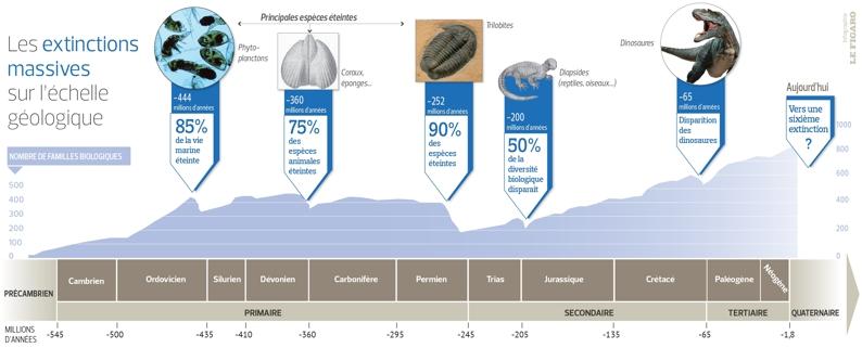 Ces fabuleux fossiles qui réécrivent l'histoire des extinctions de masse
