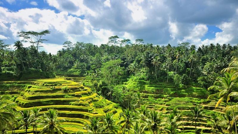 Les 10 sites et attractions  incontournables  Bali 