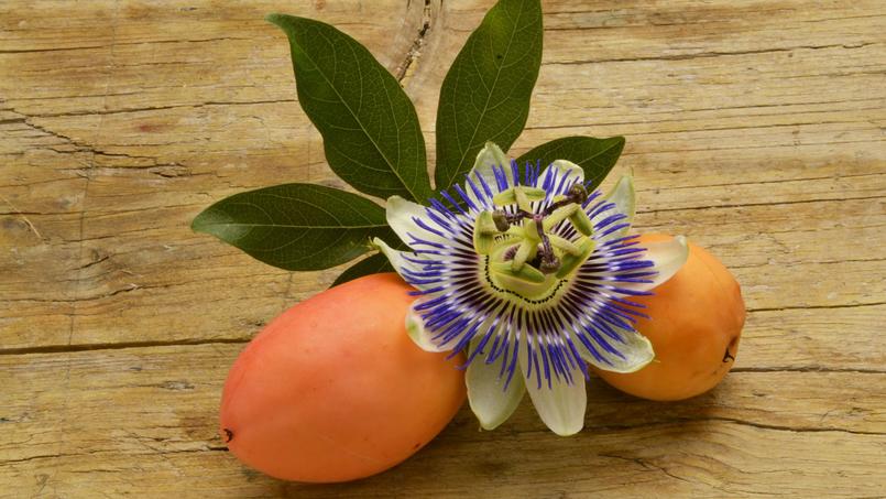 Is the fruit of passionflower edible?