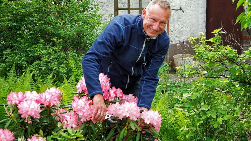 Peut On Tailler Des Rhododendrons De Plus De 30 Ans