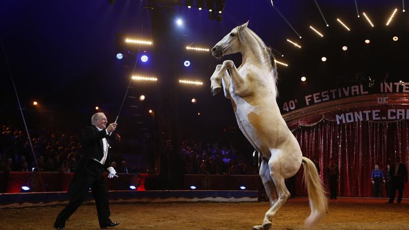 Dans La Sarthe Une Maison De Retraite Dediee Aux Animaux De Cirque