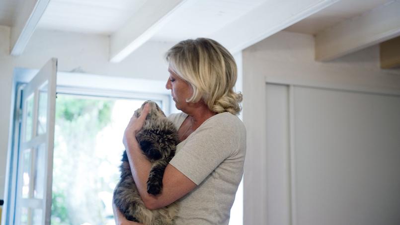 Marine Le Pen Profite De La Journee Du Chat Pour Communiquer