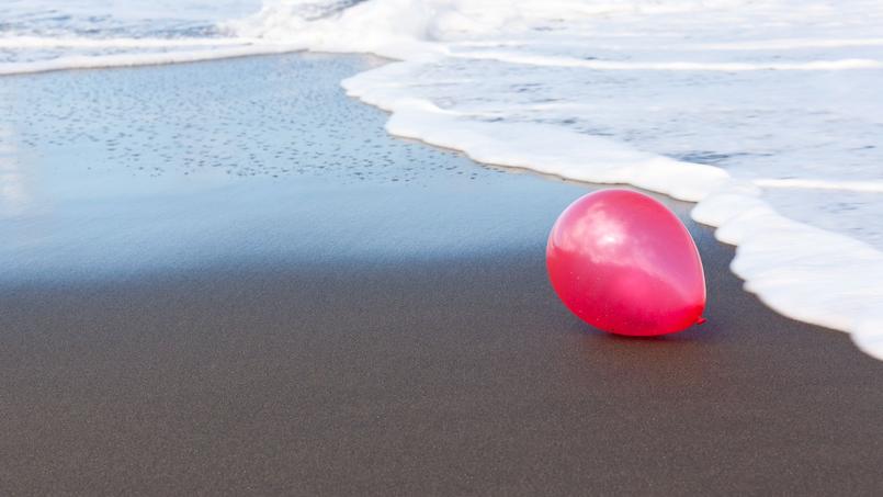 Les Ballons De Baudruche Tueurs D Oiseaux Marins