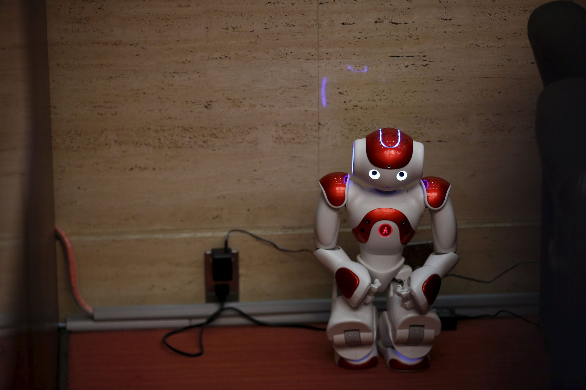 Les robots humanoïdes se font une place dans la maison