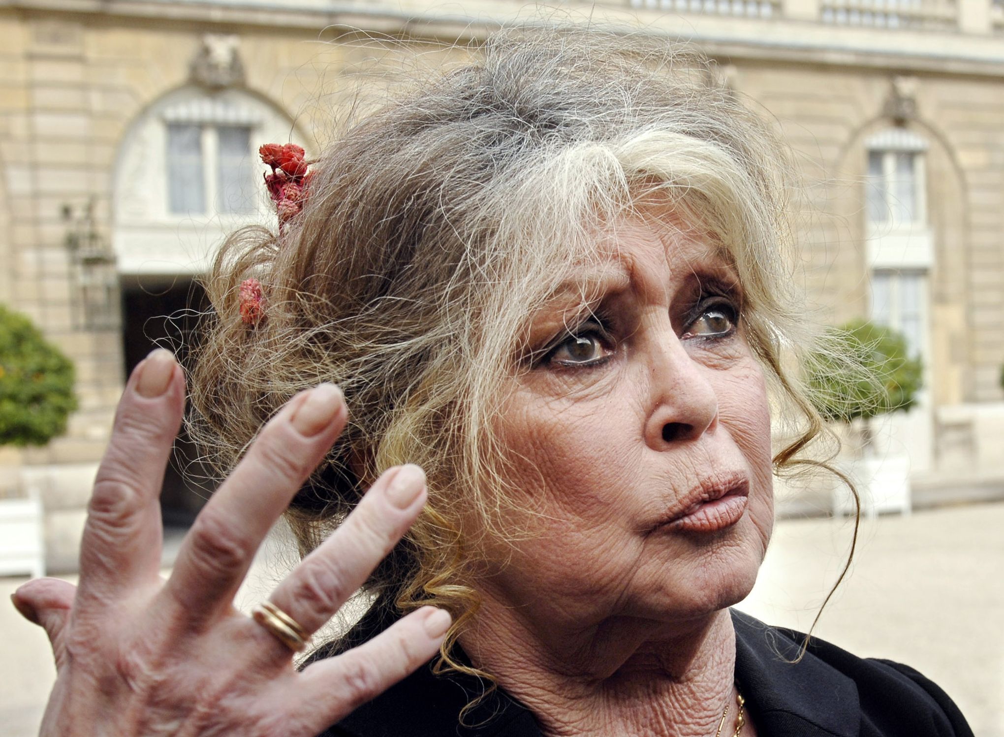 Lot De Coupures De Presse (articles De Journaux) Anciens Sur Catherine Deneuve Et Brigitte Bardot - Occasion, Vintage