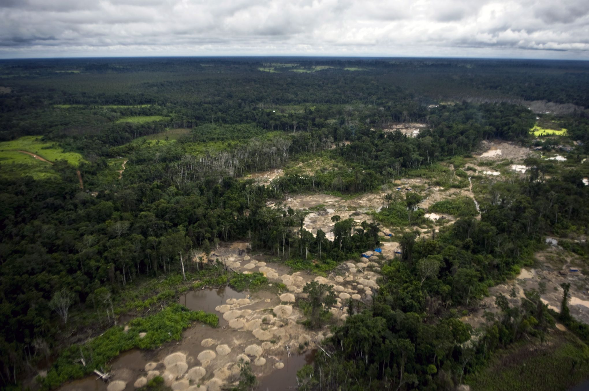 000 Hectares of Land in the Peruvian Amazon and neutralizes emissions