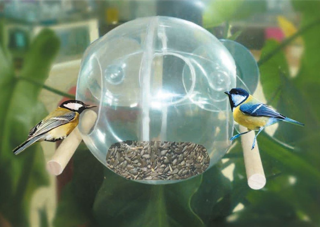 Une mangeoire transparente pour voir les oiseaux festoyer