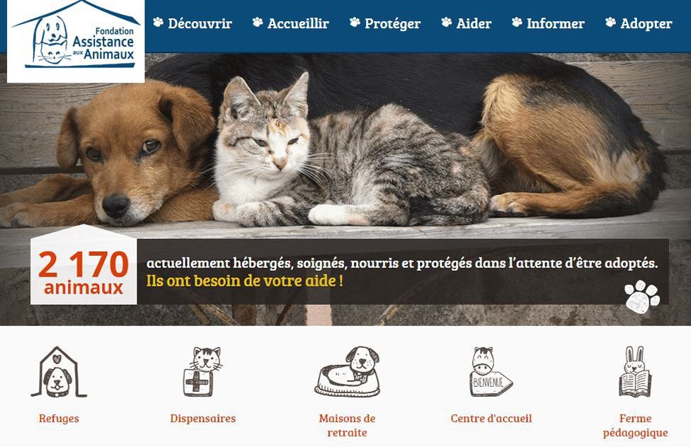 Les Pratiques Douteuses De La Fondation Assistance Aux Animaux