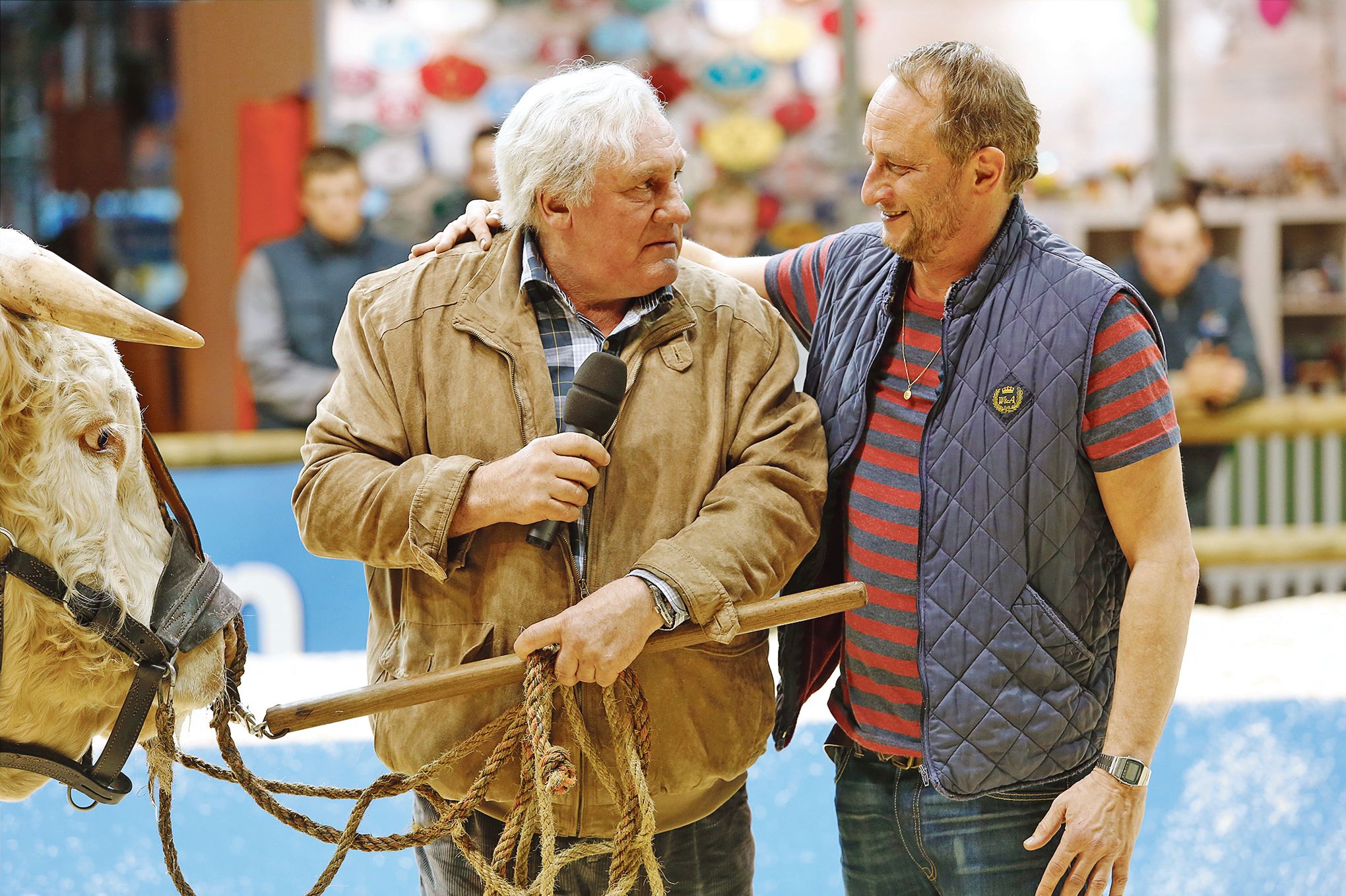 Gerard Depardieu Dans Saint Amour Je Prefere L Ivresse Au Vin