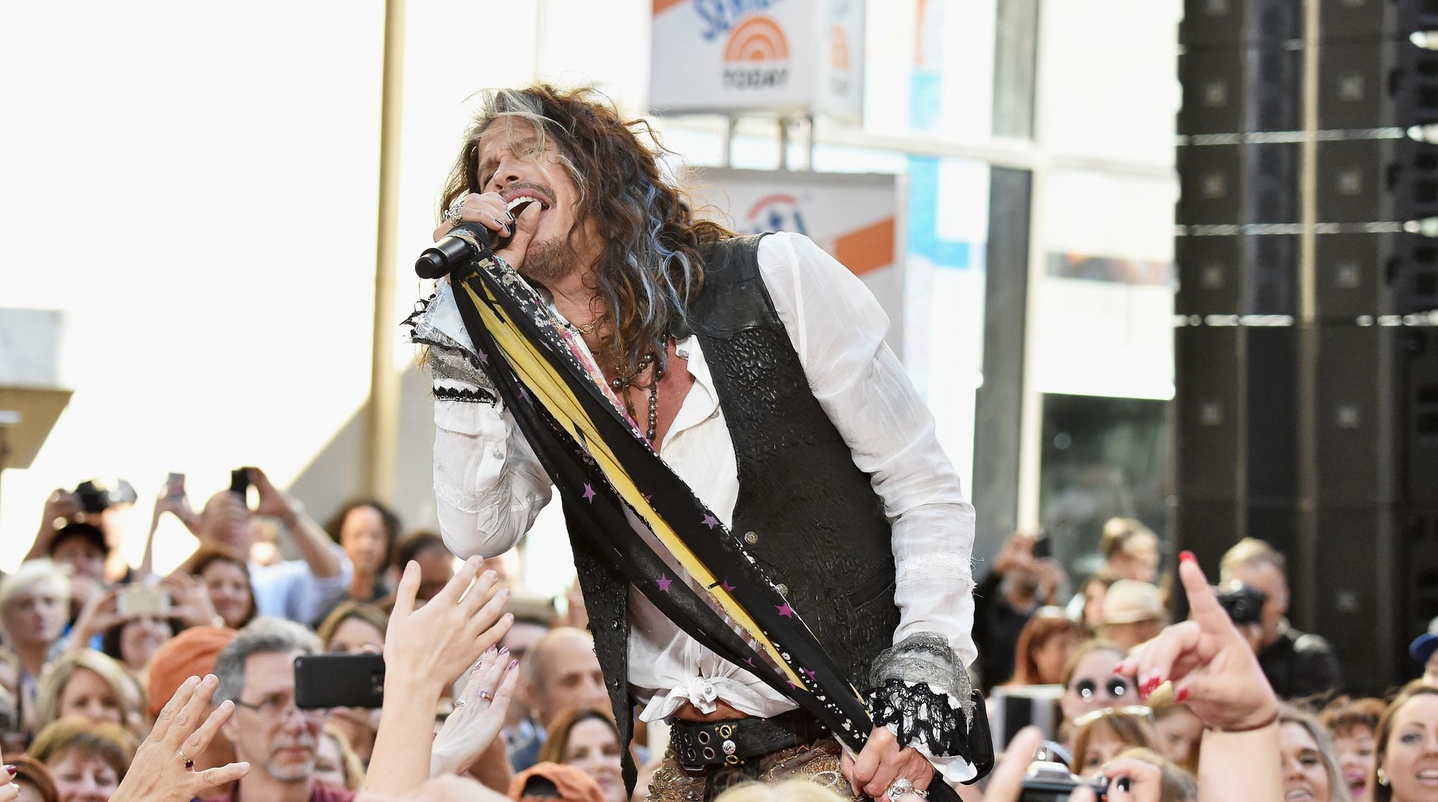 Steven Tyler micro