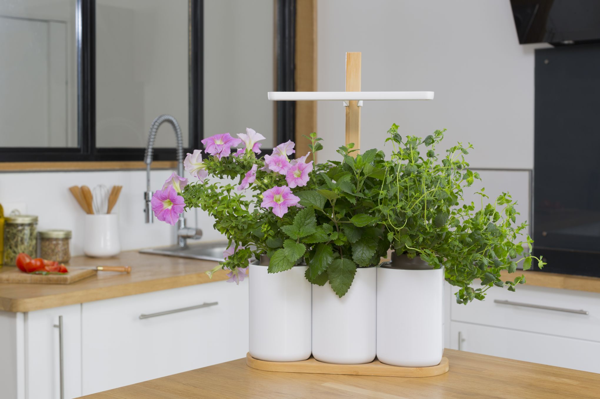 Potager Lilo - Votre jardin d'intérieur pour plantes et aromates