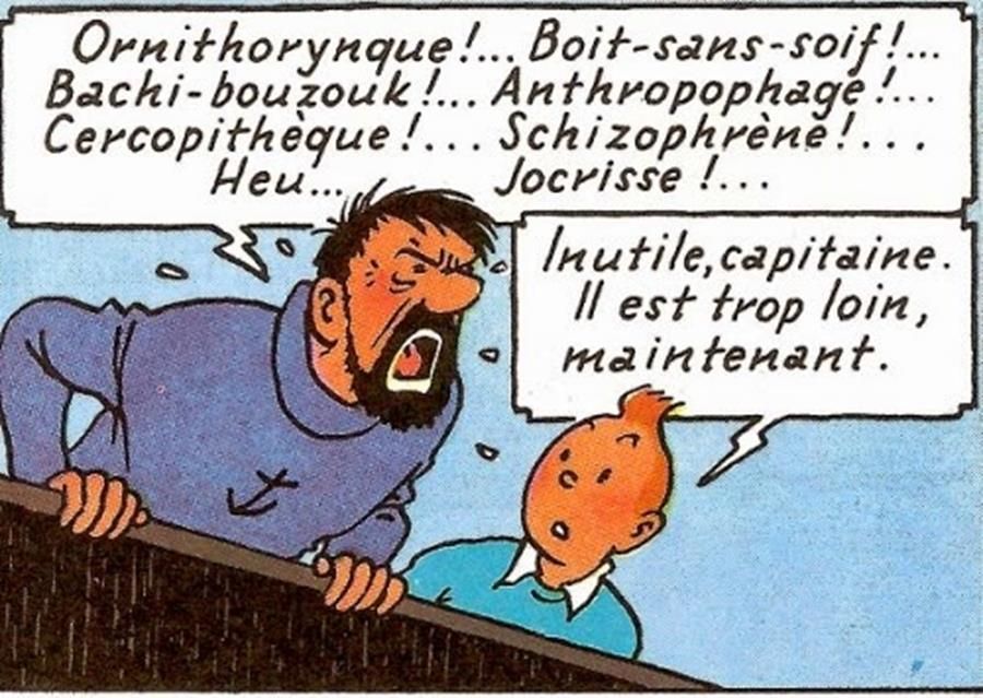Apres Les Faineants Une Petite Histoire De L Injure En Politique