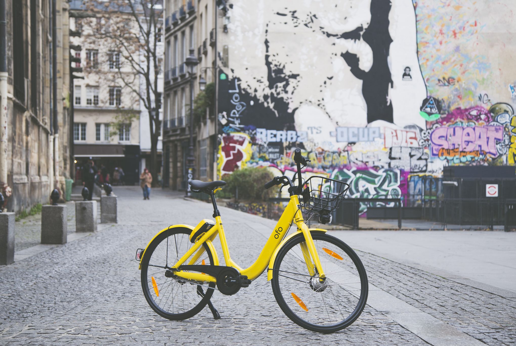 Velo best sale ofo prix