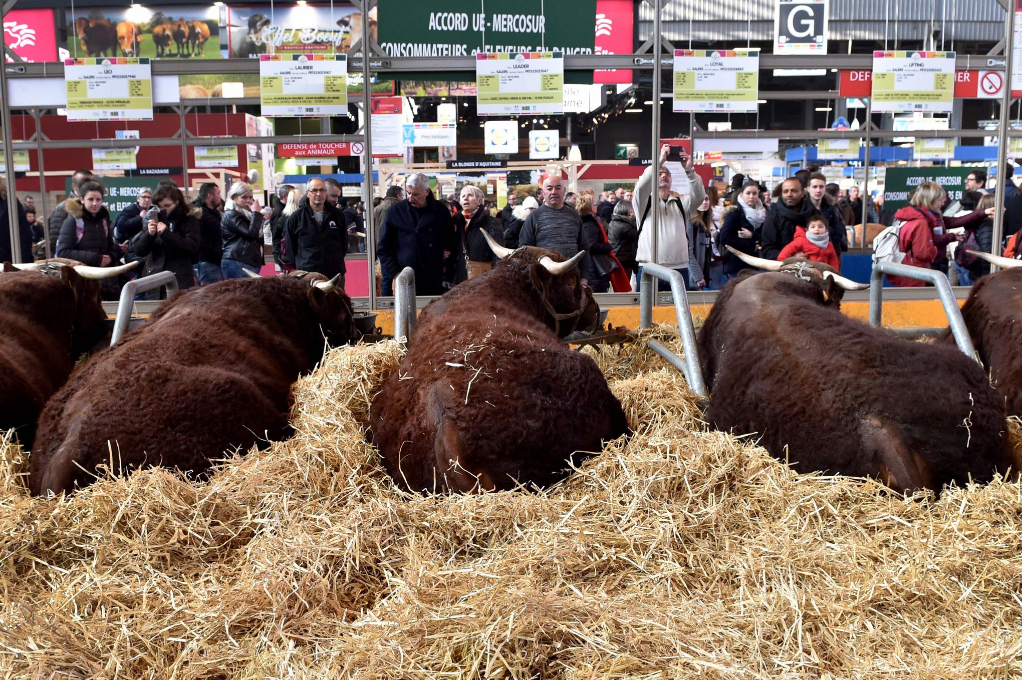 Au Salon De L Agriculture Les Francais Vantent Leur Terroir Et Le