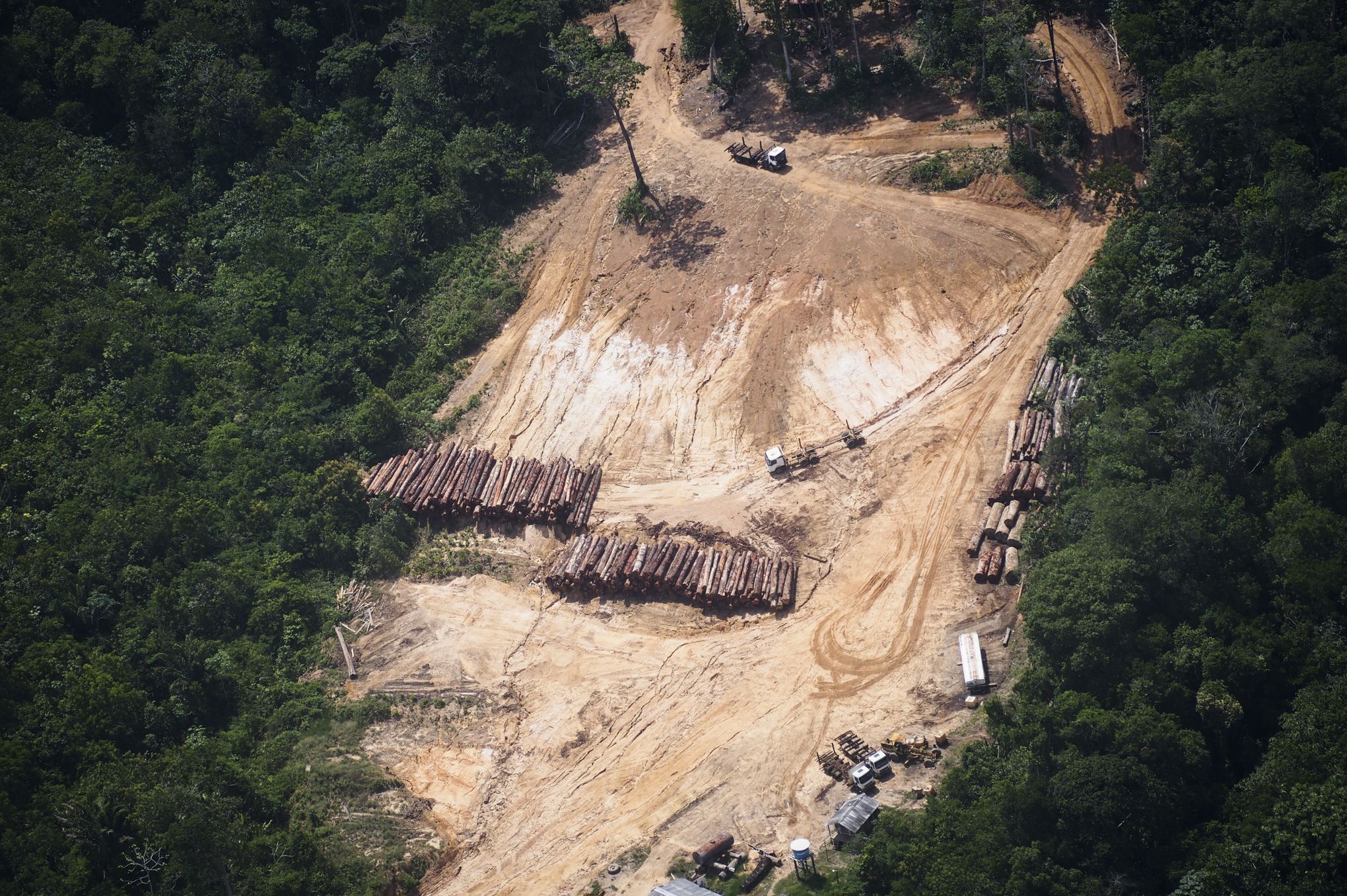 Resultado de imagem para La France Ã©pinglÃ©e pour l'importation de bois illÃ©gal en provenance d'Amazonie