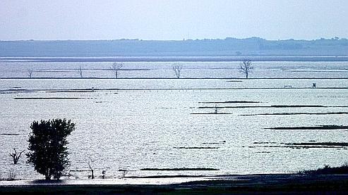 1 kilo de bœuf = 16 000 litres d'eau !