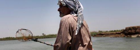 Le fleuve du jardin d'Eden n'abreuve plus l'Irak