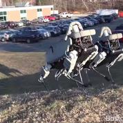 Spot, le surprenant chien robot de Google