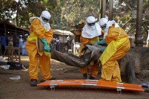 Une équipe de la Croix Rouge prend en charge un malade suspecté d'Ebola, le 30 janvier à Forecariah (Guinée).