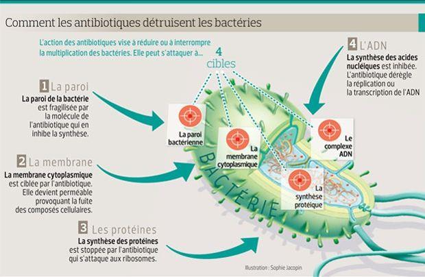 Résistance aux antibiotiques  la menace devient réalité