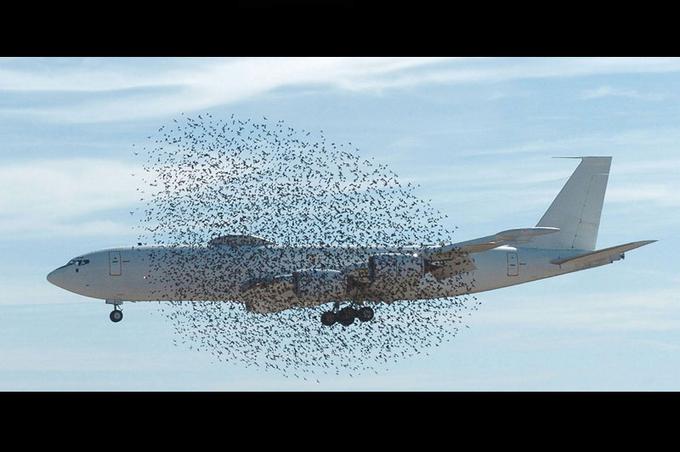 Avion Qui A Failli Se Crasher 24 heures photo