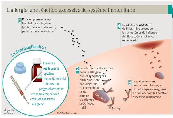Desensibilisation Aux Allergies Des Resultats Prouves