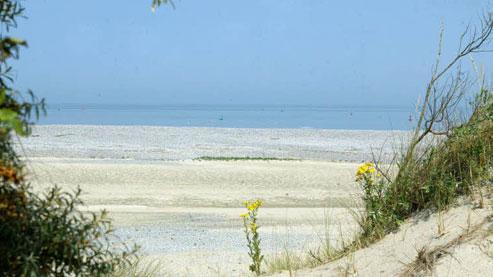 Indemodable Baie De Somme