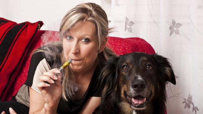 E Cigarette Nicotine Quels Dangers Pour Les Chiens Et Chats