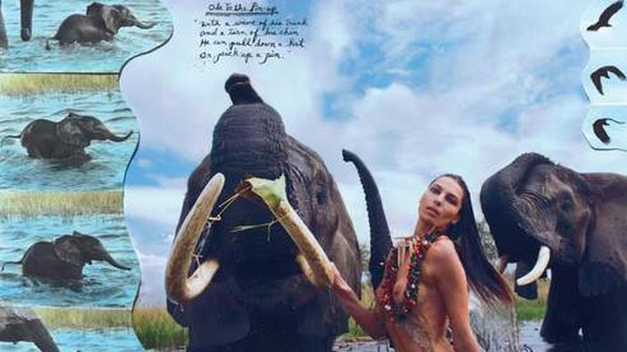 Beard signe un flamboyant calendrier Pirelli 2009