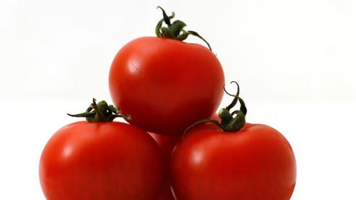 Le Genome De La Tomate Est Integralement Sequence
