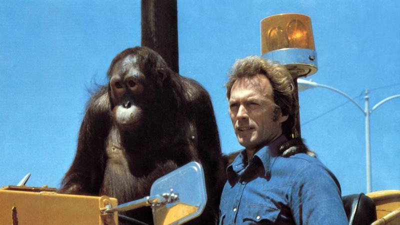 Film Un Singe Sur Le Dos La Planète des Singes 2 : huit singes mythiques du cinéma