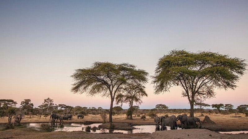 Les 10 Sites Et Attractions Incontournables Au Botswana