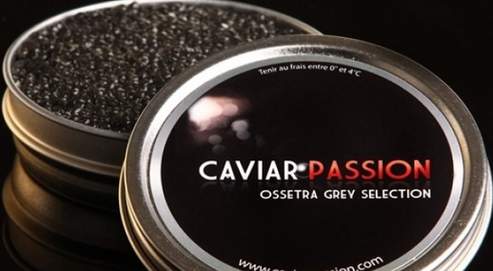 Caviar Aquitaine  Caviar Passion: Acheter Caviar Aquitaine en ligne pas  cher