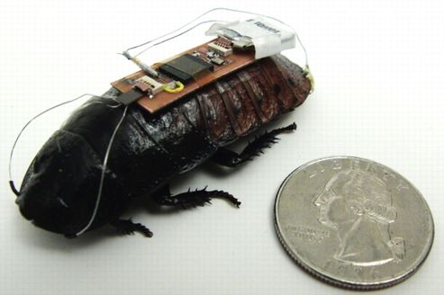 Les scientifiques ont mis au point un robot tueur de cafards, doté