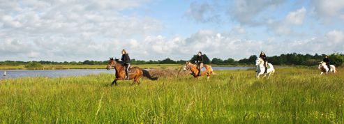 à La Découverte De La Brenne à Cheval - 