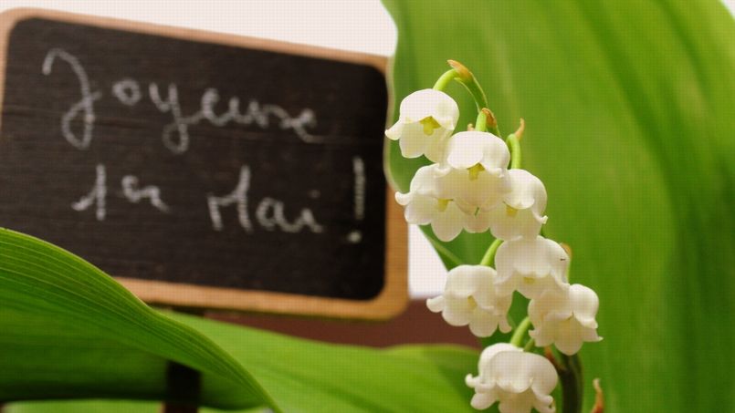 Comptez En Moyenne 1 5 Euro Pour Un Brin De Muguet