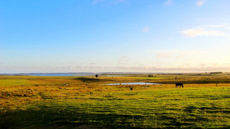 Uruguay paysage
