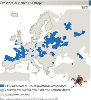 Les Tiques Sont Les Vecteurs De Multiples Maladies