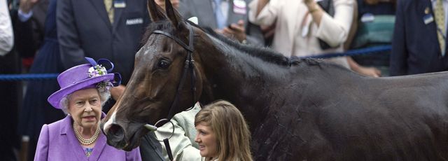 Le Cheval De La Reine D Angleterre Etait Dope