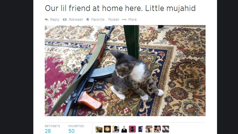La Surprenante Communication De L Etat Islamique Sur Les Reseaux Sociaux