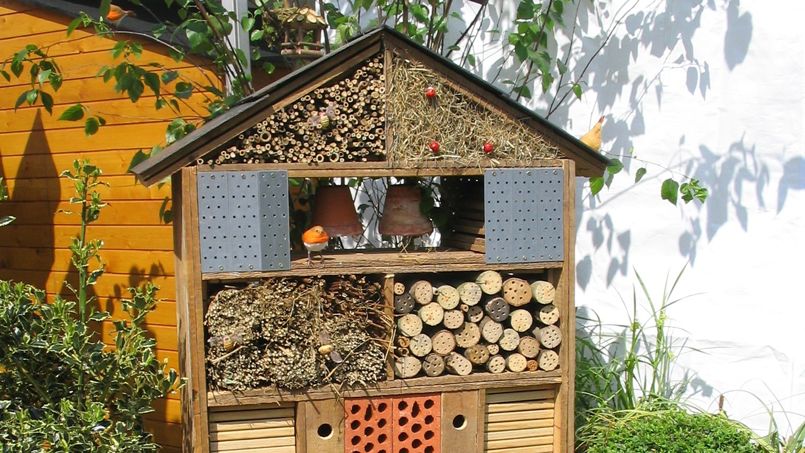 Comment attirer les insectes dans un hôtel à insectes ?