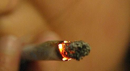Un des échantillons de haschisch étudiés contenait un taux record de 37,2 % de tétrahydrocannabinol, ou THC.