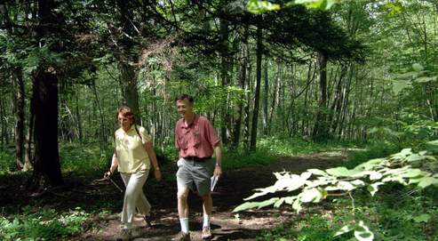 «La forêt est moins sensible à la chaleur qu'au manque ou au trop plein d'eau » analyse un écophysiologiste.