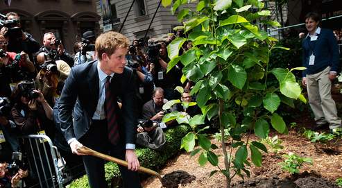 En douze ans, la valeur de la part d'héritage du prince Harry (ici, plantant symboliquement un arbre à New York) est passée de 6,5 millions à 9 millions de livres (10 millions d'euros) grâce à des placements judicieux.
