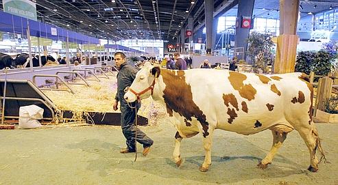 Pendant neuf jours, le Salon de l'agriculture va faire le plein d'hommes politiques et de candidats aux régionales.